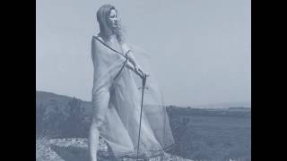 Unknown Mortal Orchestra - Swim And Sleep (Like A Shark) [Blue Record]