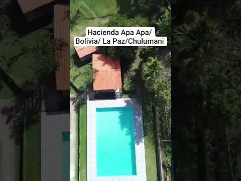 Hacienda de la Reserva  Ecológica de Apa Apa  La Paz / Chulumani/ Bolivia