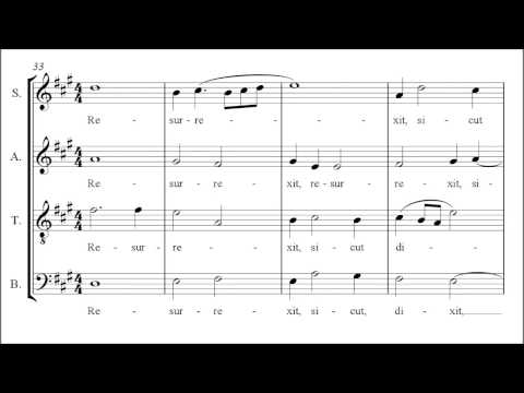 Aichinger | Regina Coeli [á 4; with Organ Intonation]