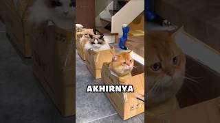 Download lagu #shorts mp3 Download lagu #shorts mp3