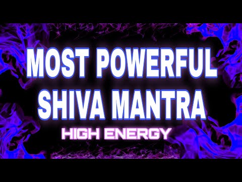 Damini vyas Shiva tandava stotram