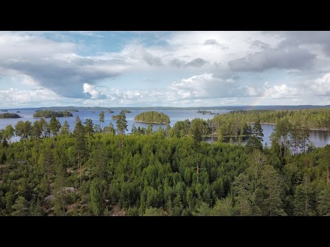 9 Tage Schweden mit scandtrack auf dem See Foxen