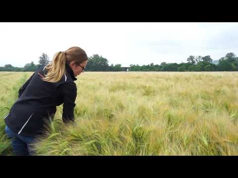 KWS MEMPHIS - Für den Ernstfall