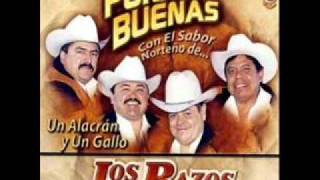 los razos un alacran y un gallo