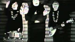 SHONEN KNIFE * DEVIL HOUSE * RARE EARLY HOME VIDEO