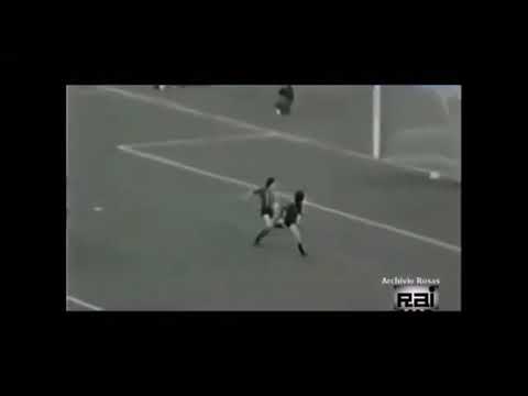 Nardin Aldo Parate dal 1971 al 1975 - Varese,Napoli,Ternana