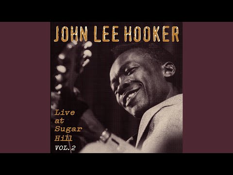 Videoclip de Taxi Driver (Live) — John Lee Hooker