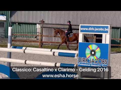 Classico: CASALTINO x CLARIMO