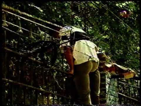 1998 (1° B Nacional) (Z.Metropolitana) Estudiantes (Bs.As.):4 vs All Boys:0