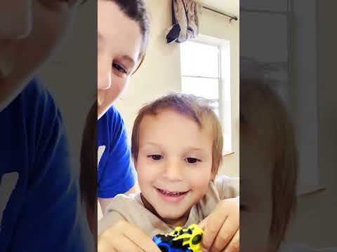 Dehydrating Bananas (Fighting Broken Leg Boredom)