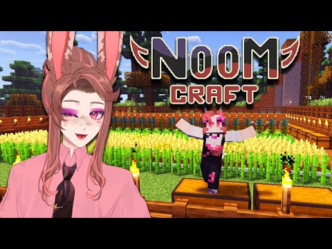 Insane Noomcraft Maxing with Roy Chiato VODS!