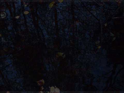 Encapsulated video thumbnail