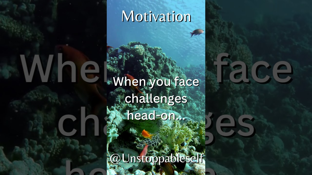 Lifelong Learning: Unlocking Your Potential Through Continuous Education