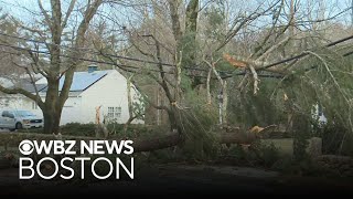 Fallen trees, power outages scattered across Massachusetts after storm
