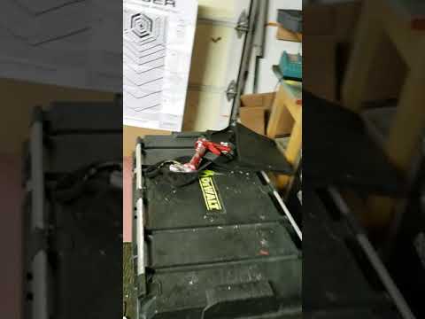 First shot of the wish taser clone and ITS BLACKPOWDER????