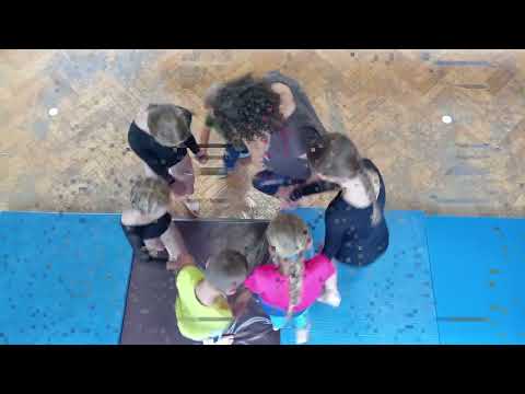 Vybavme společně tělocvičnu dětem na gymnastiku a trampolíny