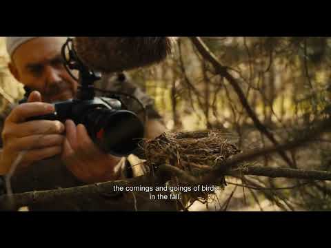 Прев'ю відео