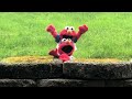 Ymca Elmo Vs Bilingual Elmo
