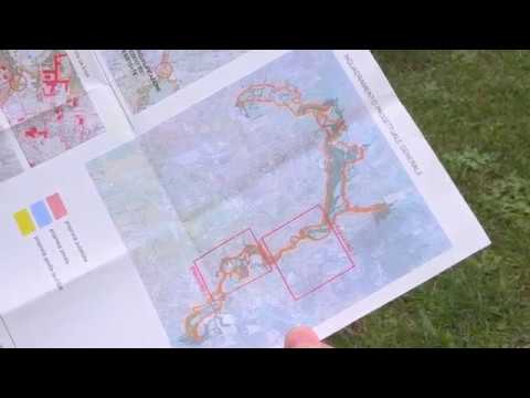 Riqualificazione del corridioio ecologico sul torrente Tadone