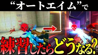 【検証】オートエイムで練習してみたら、最強エイムに覚醒できるのか？【OW/オーバーウォッチ】