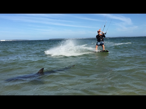 Shark Kitesurfer Brighton Le Sands Sydney by Adam Carmer (kiter Pierre Olivier)