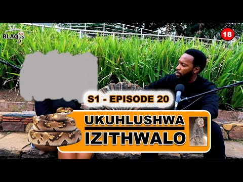 Othwele ngobudoda (Sperm) babantu besilisa ukhathele ukuhamba elalwa | UKUHLUSHWA IZITHWALO | S1-E20