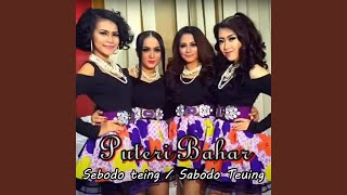 Download lagu Sebodo Teing (Sabodo Teuing) mp3 Download lagu Sebodo Teing (Sabodo Teuing) mp3