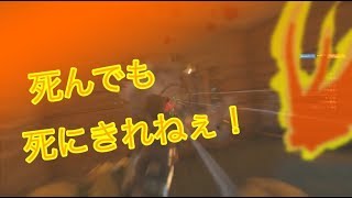 知り合いが編集に凝ってたから便乗してみたww[R6S]（drawing days）