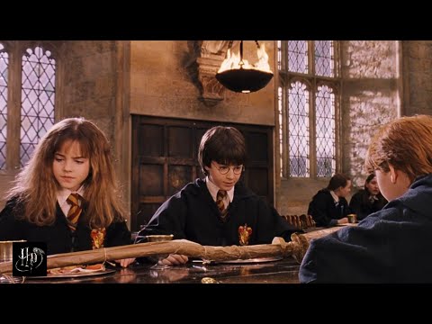 Harry Potter and the Sorcerer's Stone (2001) - Harry Got New Broomstick