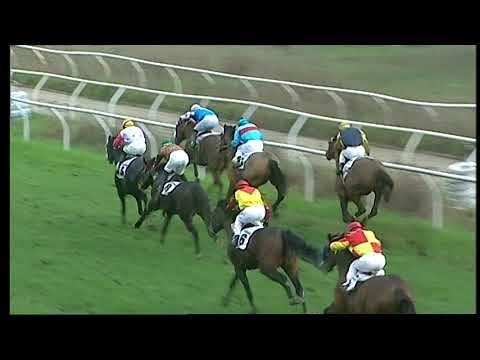 Napoli Galoppo 6/12/2021 - 5ª corsa