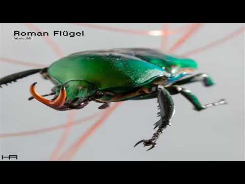 fabric 95 -  Roman Flügel (2017) [Continuous Mix]