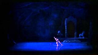 Jose Manuel ghiso y Natalia Berrios : (  La Bayadera )  - Ritual