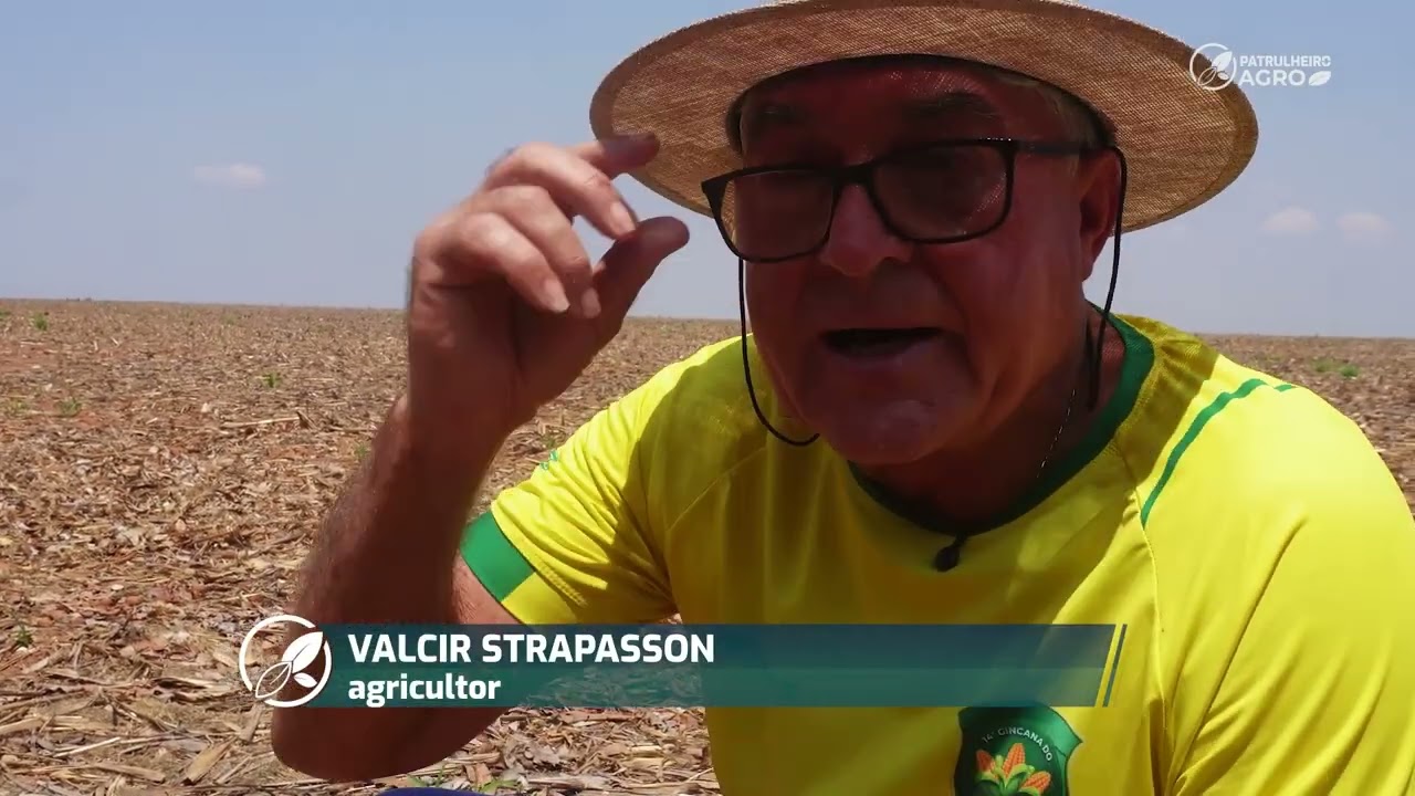 Chuva e custo ditam o ritmo do plantio da safra de soja 26/27 em Mato Grosso