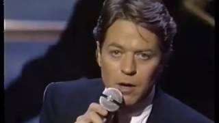 Robert Palmer -  I Didn&#39;t Mean To Turn You On