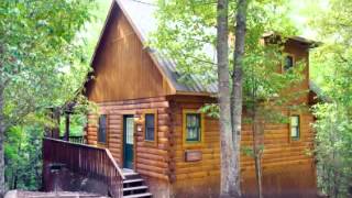 A Cabin in The Hills