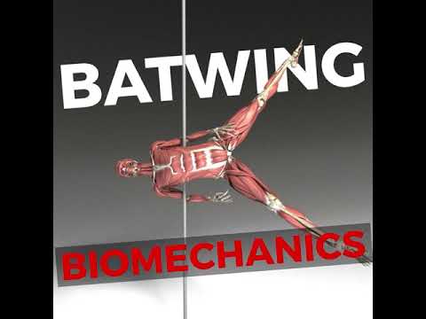 Pole Anatomy - Batwing