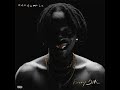 Fireboy DML Ft Seun Kuti Ecstasy Radio Edit Clean Version