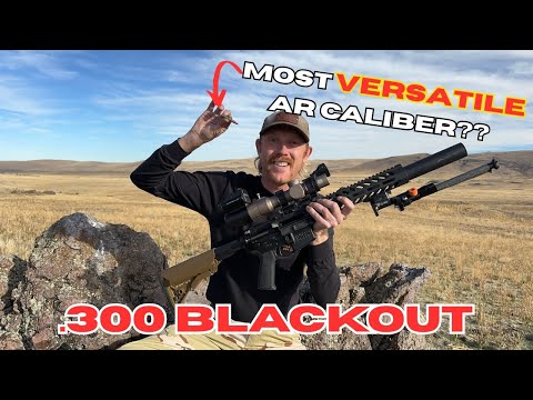 300 Blackout – Das vielseitigste AR-Kaliber?