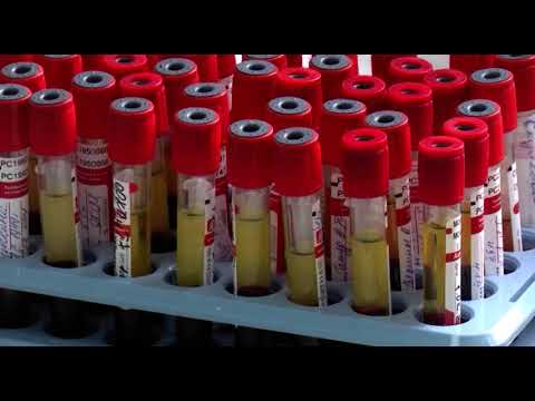 Курские медики побывали с рабочим визитом в ЦКДЛ Санкт-Петербурга