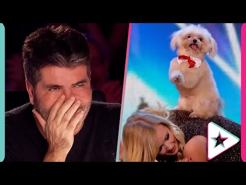 EVERY Performance of Trip Hazard on Britain's Got Talent!