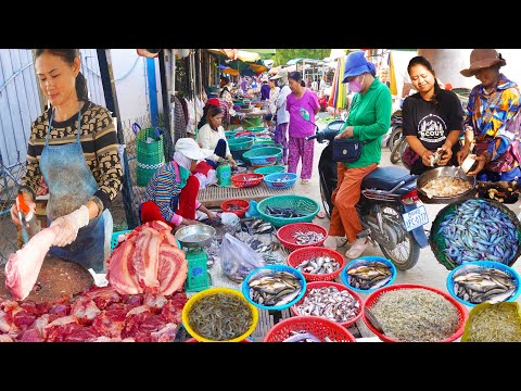 Cambodian Countryside Routine Foods @ Vihear Sour Market - River fishes, Pork, Chicken , & More
