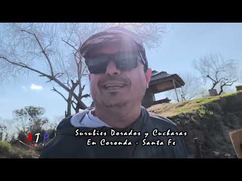 Pescamos Surubies Dorados y Cucharas en Coronda Santa Fe