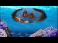 Buscando A Nemo DVD Menu 2003 En Inglés Español Y Portugués
