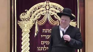 הרב ליאור גלזר קום רבי שמעון תאכל קורע מצחוק 🔥🔥🔥