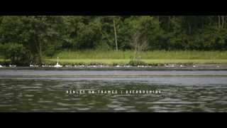 Henley Swim - The Henley Mile 2015