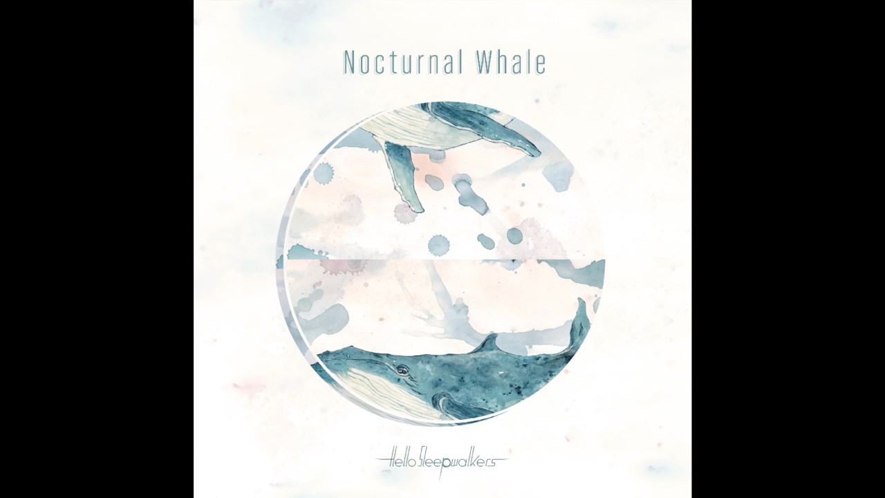 Nocturnal Whale(Lyric Video) / Hello Sleepwalkers