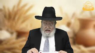 דף היומי בחצי שעה – מסכת מנחות דף י”ט