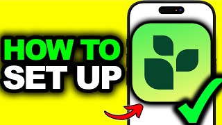 How To Set Up Lifesum App 2026 - Full Guide