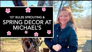 NEW Garden Inspired Spring Decor At Michaels & First Signs of Spring In The Front Garden