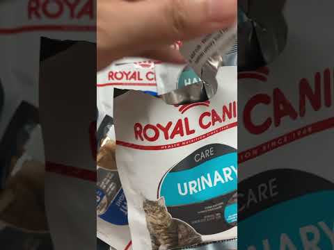 ROYAL CANIN 🇫🇷😻🇰🇷 Urinary Sample #catfood #cat #cats #royalcanin